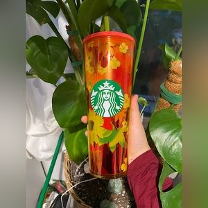 Starbucks Cups